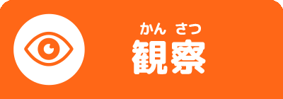 観察