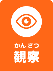 観察