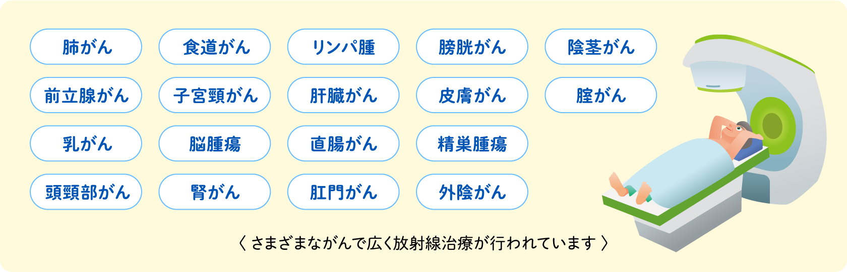 肺がん 食道がん リンパ腫 膀胱がん 陰茎がん 前立腺がん 子宮頸がん 肝臓がん 皮膚がん 膣がん 乳がん 脳腫瘍 直腸がん 精巣腫瘍 頭頸部がん 腎がん 肛門がん 外陰がん <さまざまながんで広く放射線治療が行われています>