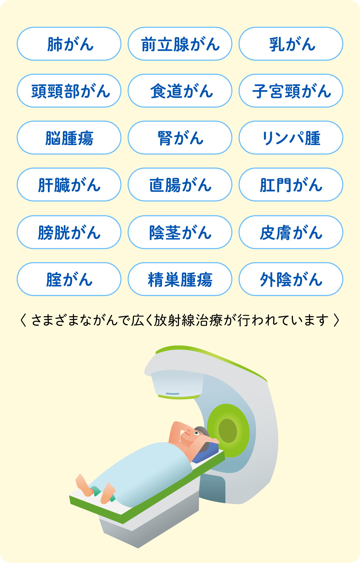 肺がん 食道がん リンパ腫 膀胱がん 陰茎がん 前立腺がん 子宮頸がん 肝臓がん 皮膚がん 膣がん 乳がん 脳腫瘍 直腸がん 精巣腫瘍 頭頸部がん 腎がん 肛門がん 外陰がん <さまざまながんで広く放射線治療が行われています>