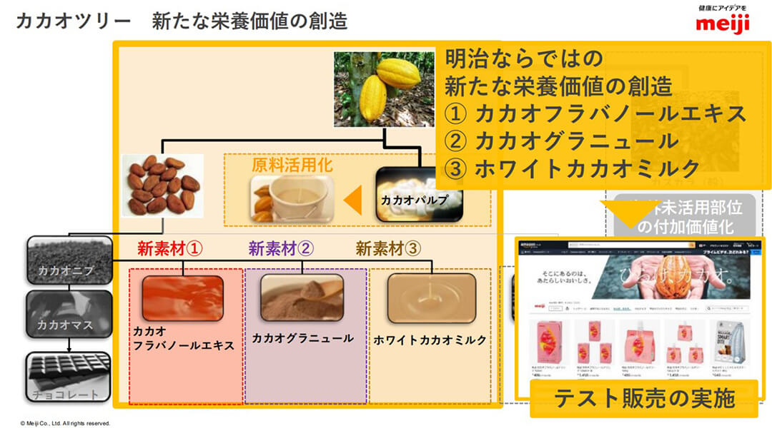 カカオツリー 新たな栄養価値の創造