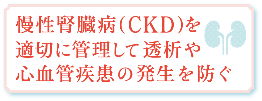 慢性腎臓病（CKD）を適切に管理して透析や心血管疾患の発生を防ぐ