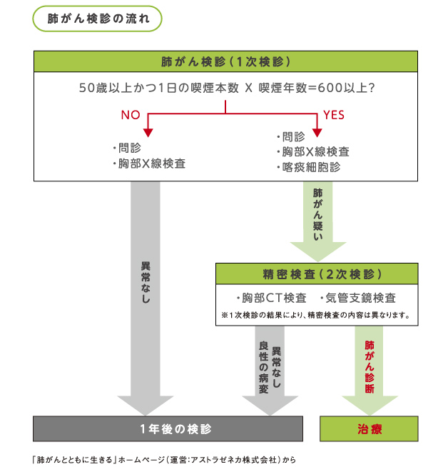 グラフ：肺がん検診の流れ