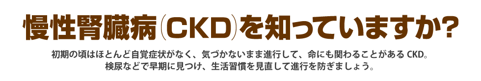 慢性腎臓病（CKD）を知っていますか？初期の頃は自覚症状がなく、そのまま放置していると命にも関わるCKD。尿検査や血液検査で早く見つけて、生活習慣の改善や薬物療法で進行を防ぎましょう。