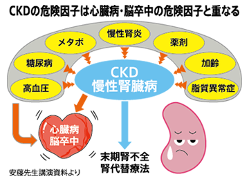 CKDの危険因子は心臓病・脳卒中の危険因子と重なる