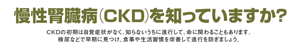 慢性腎臓病（CKD）を知っていますか？初期の頃は自覚症状がなく、そのまま放置していると命にも関わるCKD。尿検査や血液検査で早く見つけて、生活習慣の改善や薬物療法で進行を防ぎましょう。