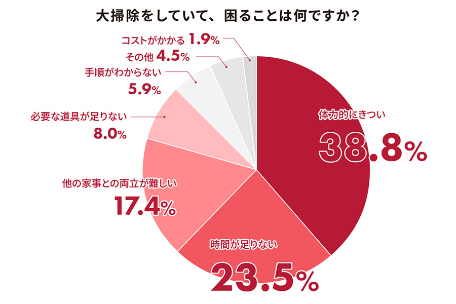円グラフ（大掃除をしていて、困ることは何ですか？）