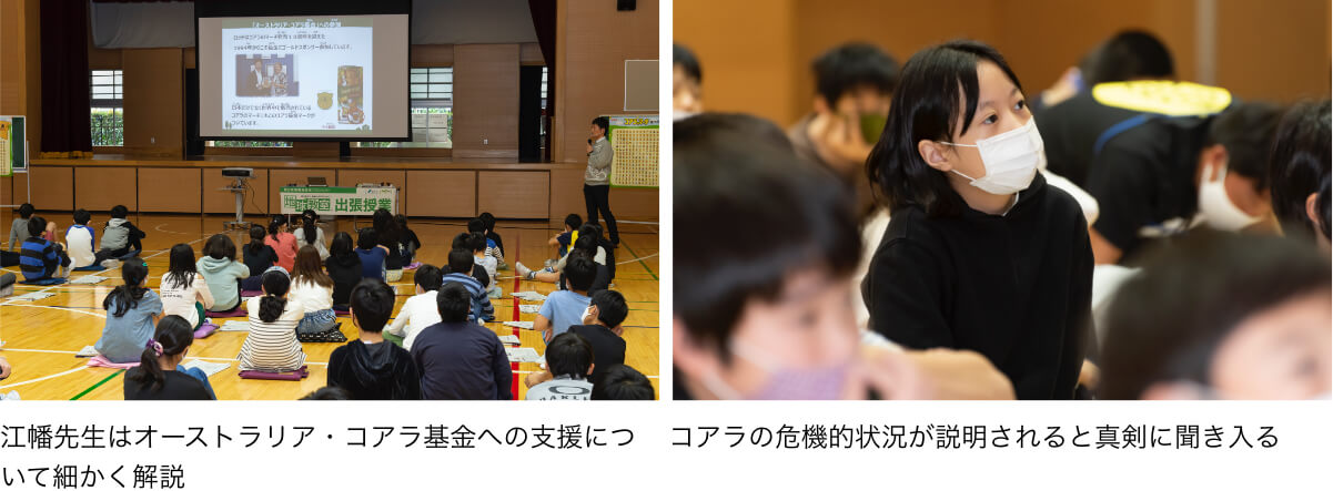 「オーストラリア・コアラ基金」のロゴ