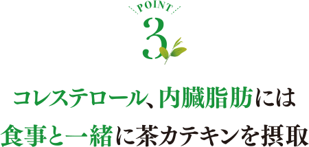 POINT3 コレステロール、内臓脂肪には食事と一緒に茶カテキンを摂取