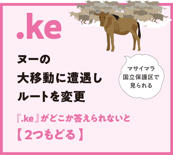 .ke ヌーの大移動に遭遇しルートを変更 『.ke 』がどこか答えられないと【 ２つもどる 】マサイマラ国立保護区で見られる