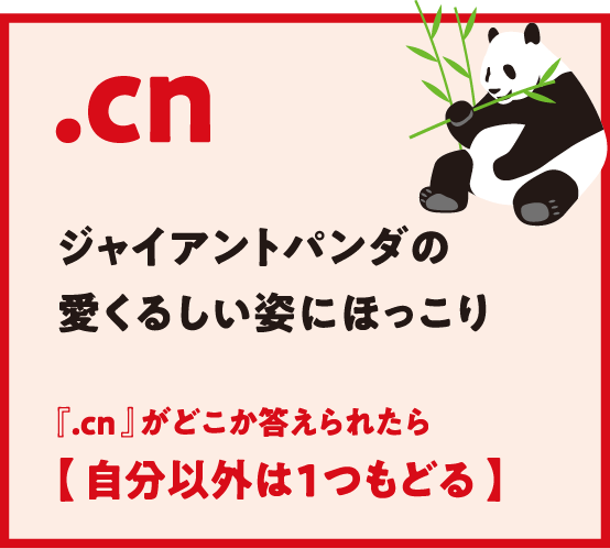 .cn ジャイアントパンダの愛くるしい姿にほっこり『.cn 』がどこか答えられたら【 自分以外は1つもどる 】