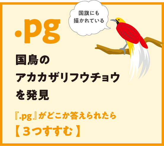 .pg 国鳥のアカカザリフウチョウを発見 『.pg 』がどこか答えられたら【 3つすすむ 】国旗にも
                  描かれている