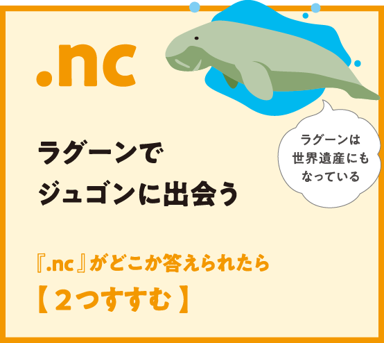 .nc ラグーンでジュゴンに出会う 『.nc 』がどこか答えられたら【 2つすすむ 】ラグーンは世界遺産にもなっている