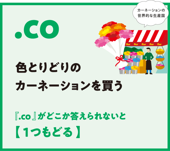 .co 色とりどりのカーネーションを買う 『.co 』がどこか答えられないと【 1つもどる 】カーネーションの
                  世界的な生産国