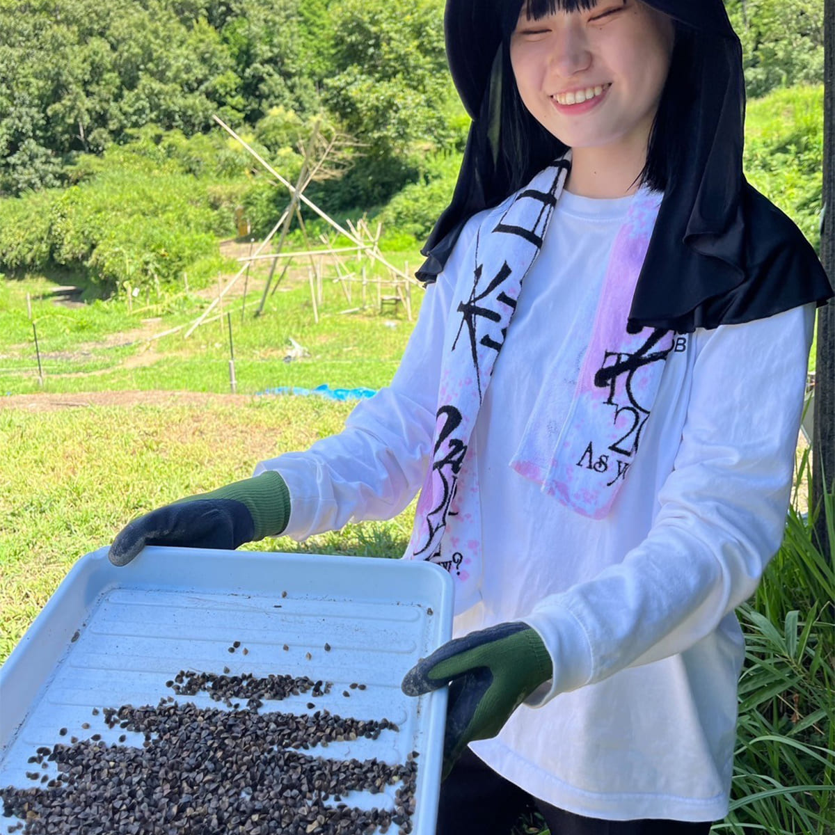 小さな種から。ぐんぐん大きくなりました