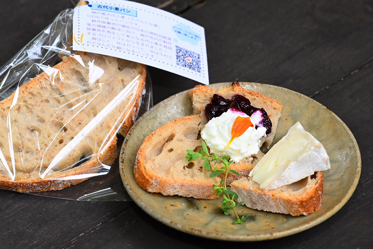 スペシャルプレート（右）と売店で配布したパン（左）