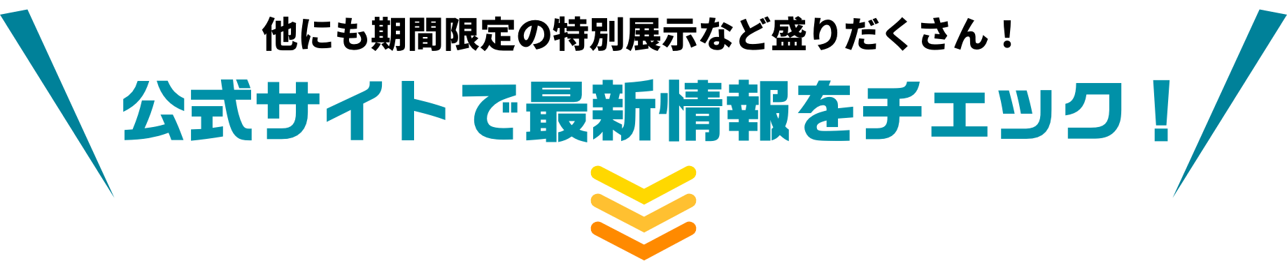 最新情報は公式サイトで！