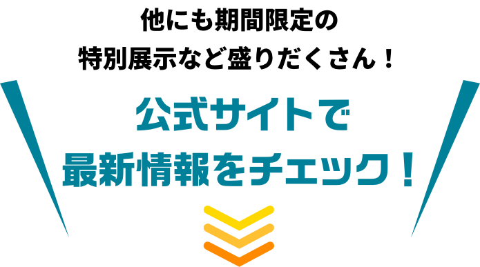 最新情報は公式サイトで！