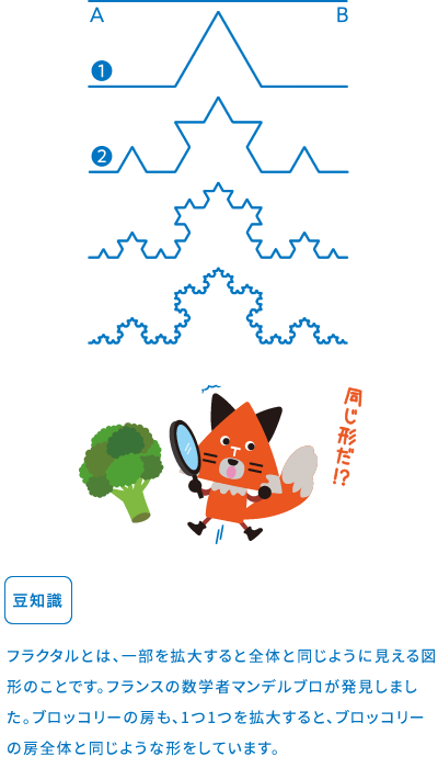 フラクタル