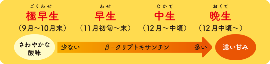 図
