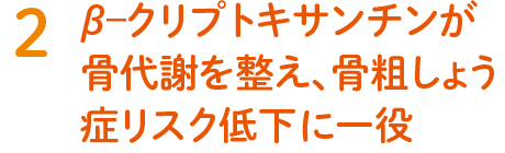2. β–クリプトキサンチンが骨代謝を整え、骨粗しょう症リスク低下に一役