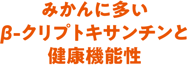 タイトル
