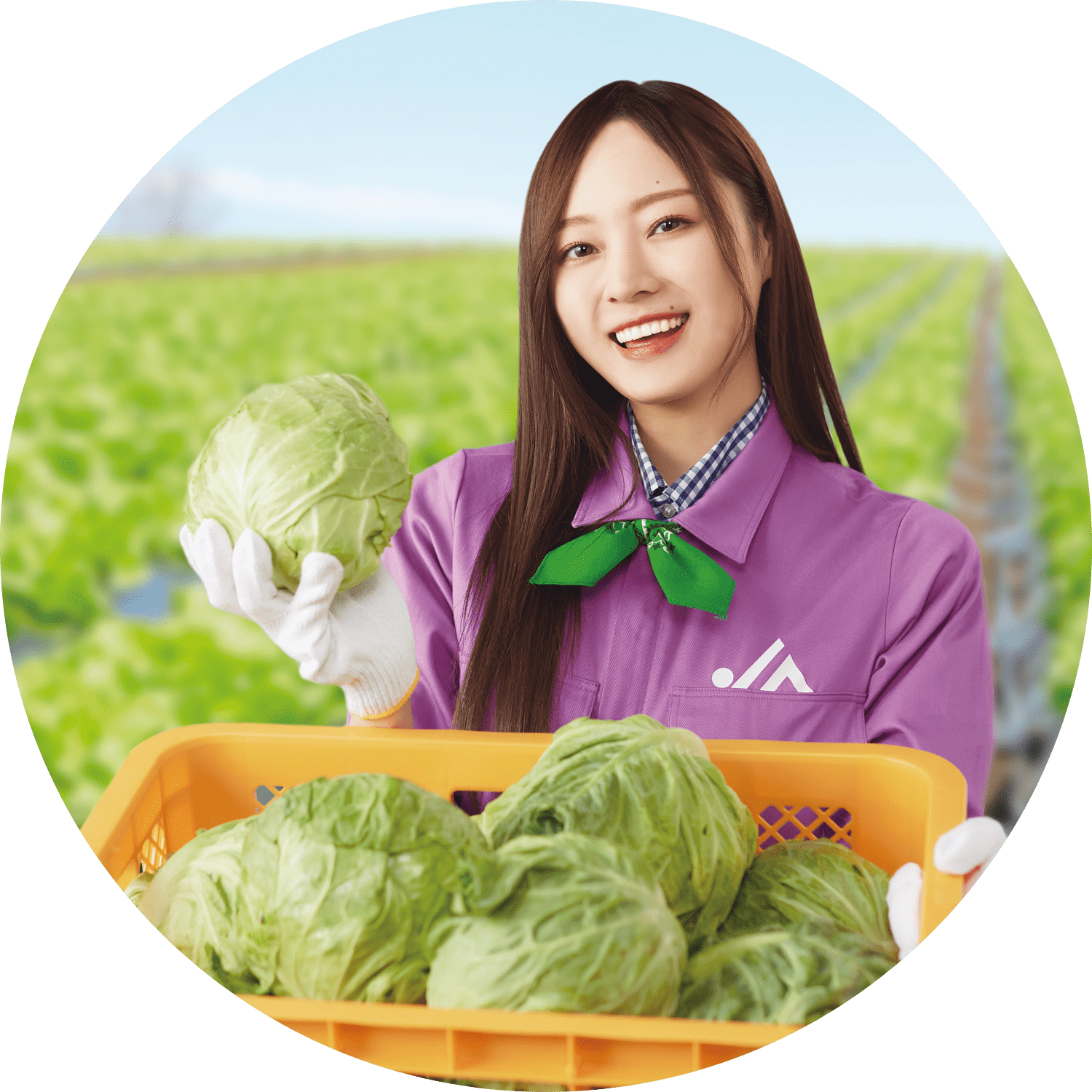 梅澤美波