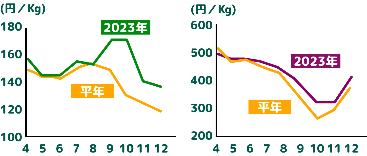 野菜（左）と果物（右）の卸売市場での取引価格※