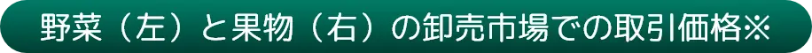 野菜（左）と果物（右）の卸売市場での取引価格※