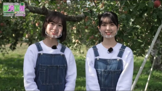 YouTube動画『⑦果物・前編