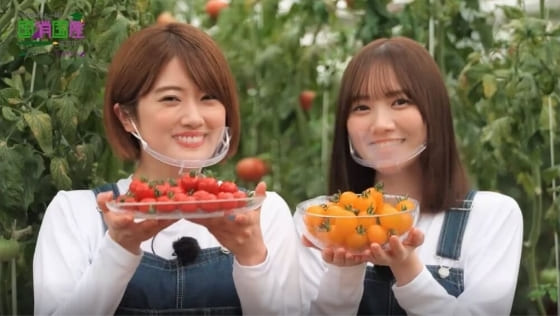 YouTube動画『①野菜・前編』