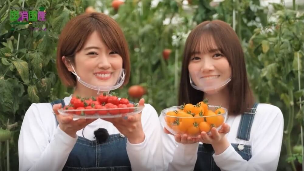 YouTube動画『①野菜・前編』