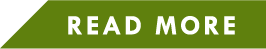 READ MORE
