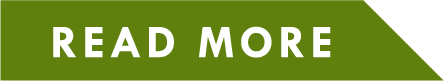 READ MORE
