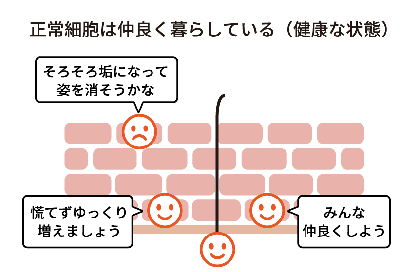 図：正常細胞は仲良く暮らしている（健康な状態）