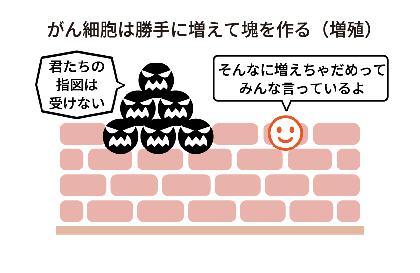 図：がん細胞は勝手に増えて塊を作る（増殖）