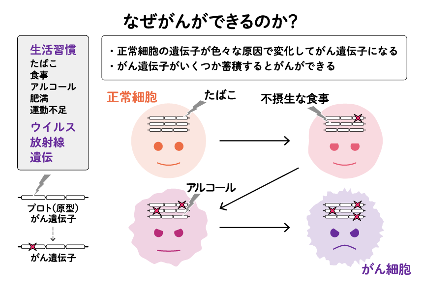 図:なぜがんができるのか?