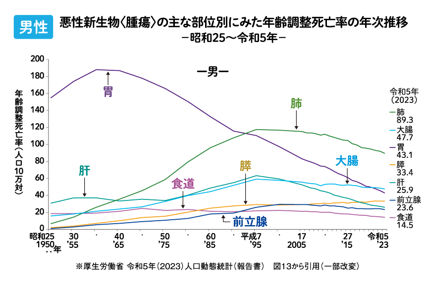 図:男性 悪性新生物の主な部位別にみた年齢調整死亡率の年次推移
