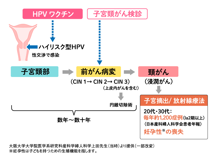 図:HPVワクチン 子宮頸がん検診