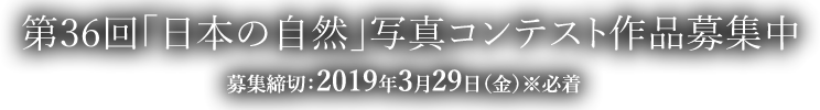 募集締切：2019年3月29日（金）※必着
