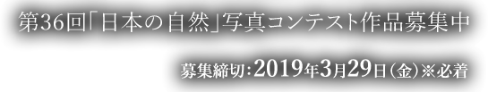 募集締切：2019年3月29日（金）※必着