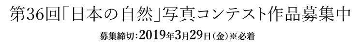 募集締切：2019年3月29日（金）※必着