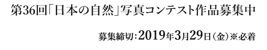 募集締切：2019年3月29日（金）※必着