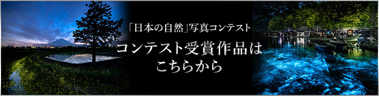 コンテスト受賞作品はこちらから!