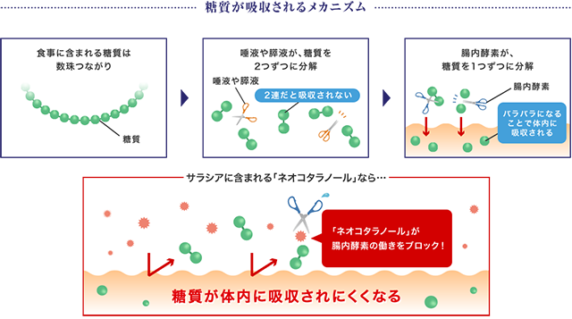 パソコン用の画像