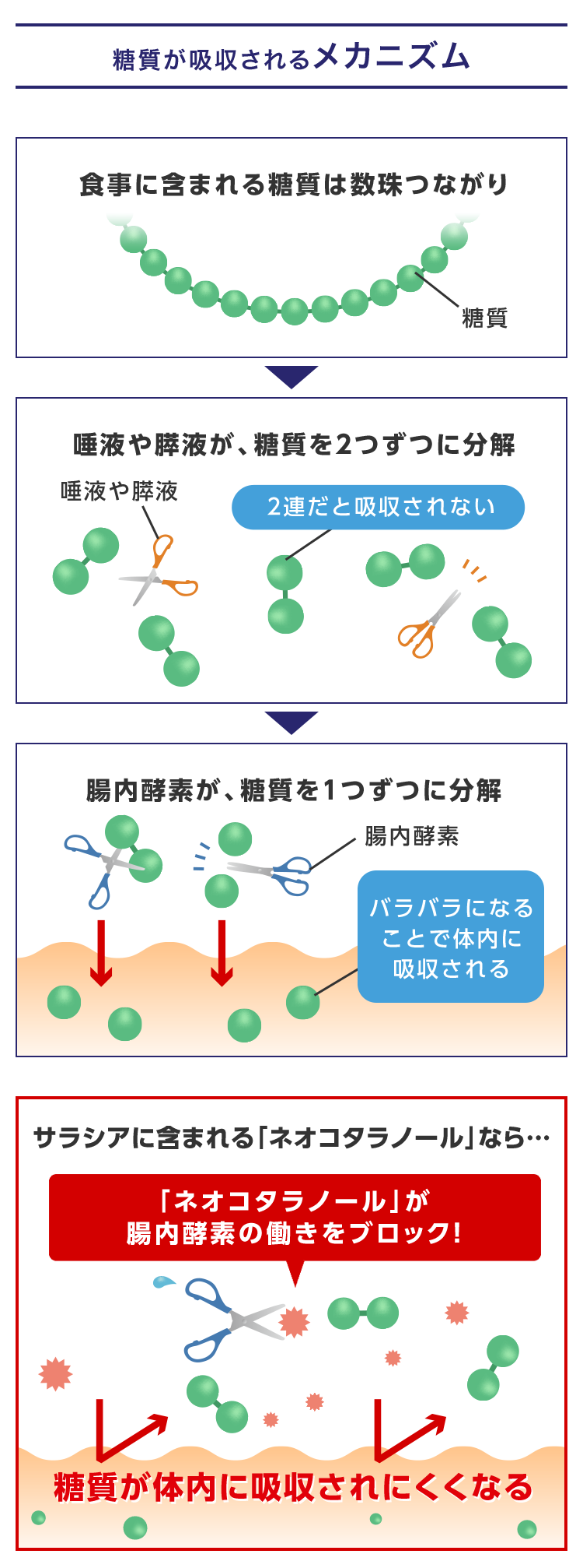 スマートフォン用の画像