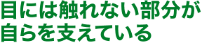 目には触れない部分が自らを支えている