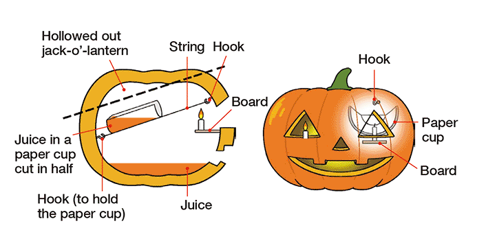 The Baron’s pumpkin