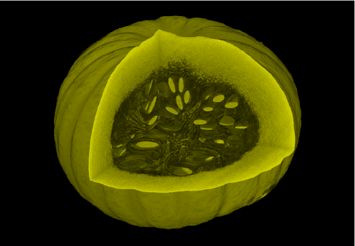 Regular pumpkin