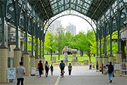首都大学東京